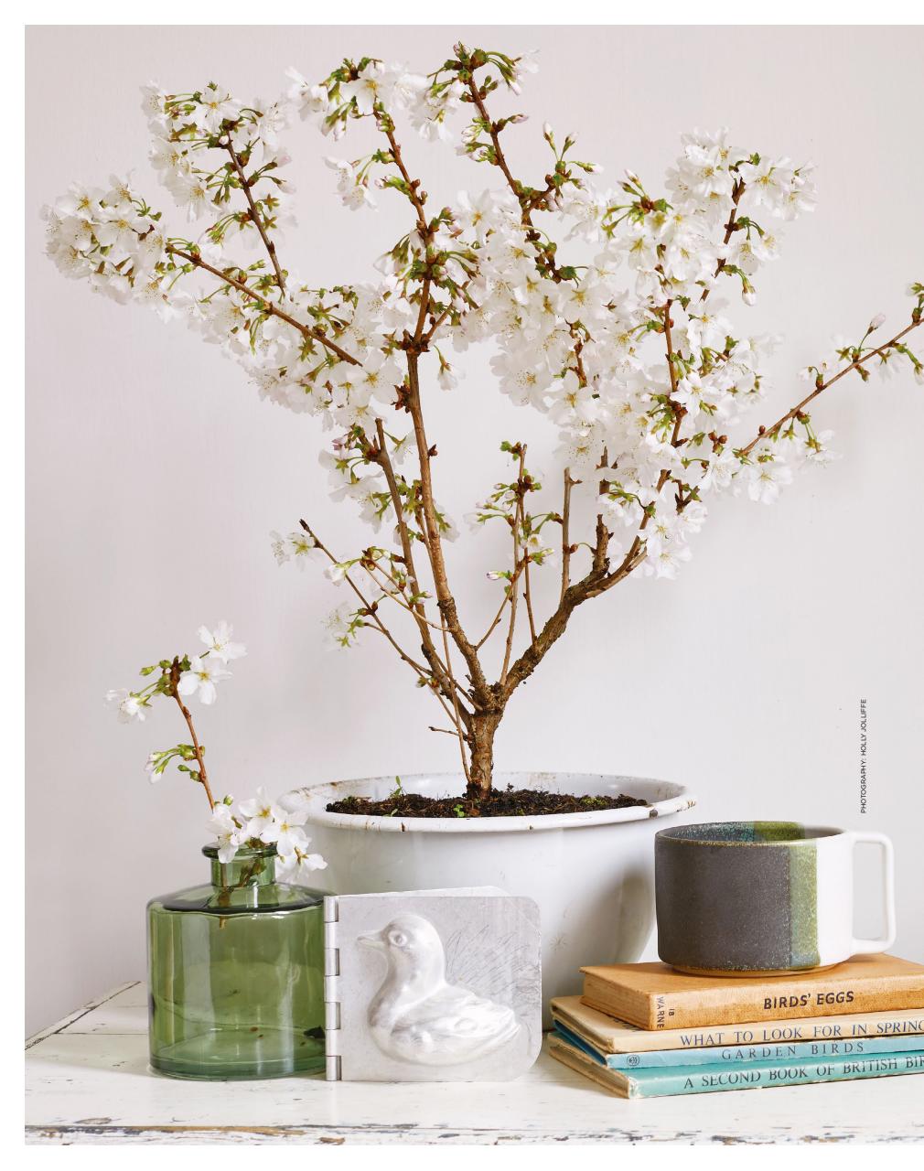 The Simple Things Preview Pages