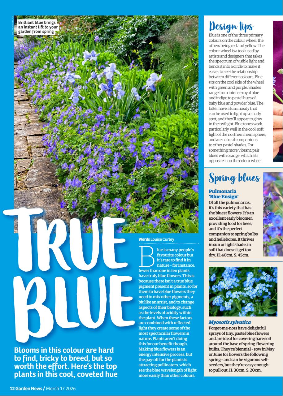 Garden News Preview Pages