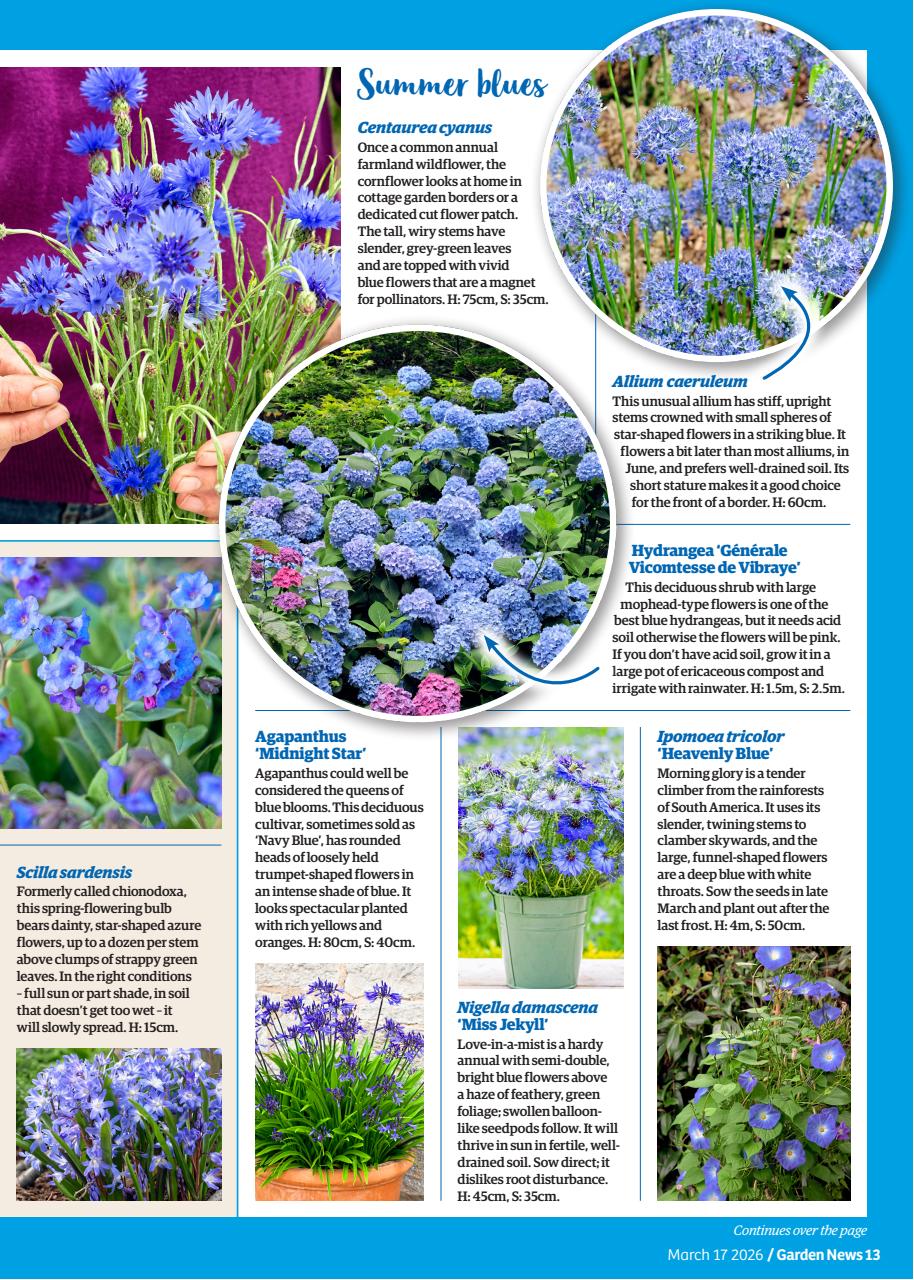 Garden News Preview Pages
