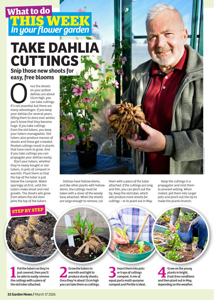 Garden News Preview Pages