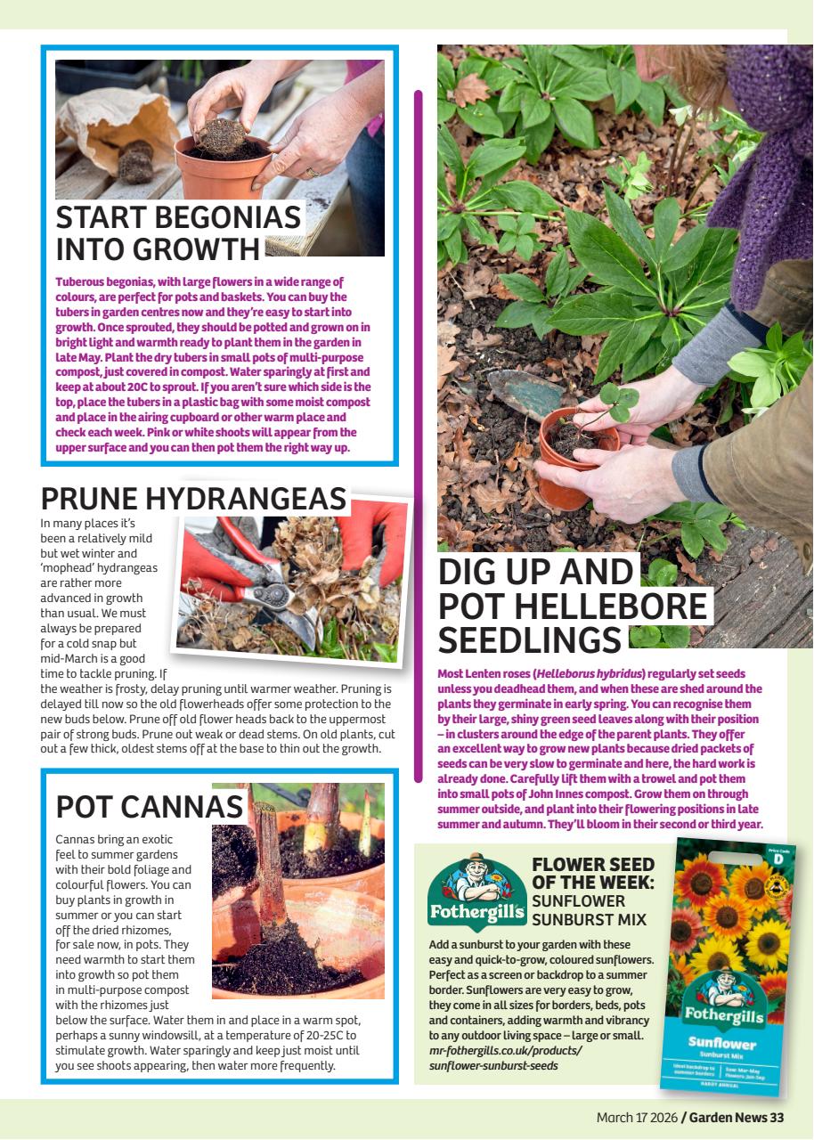Garden News Preview Pages