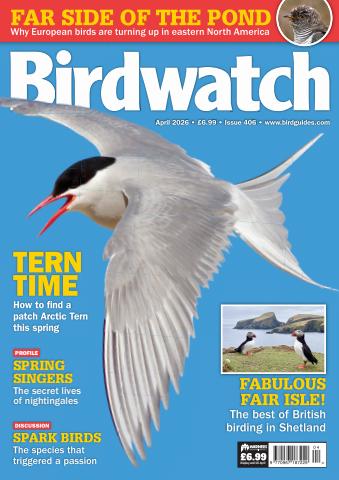 Birdwatch Magazine issue April 2026