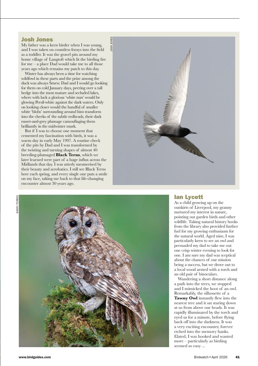 Birdwatch Magazine Preview Pages