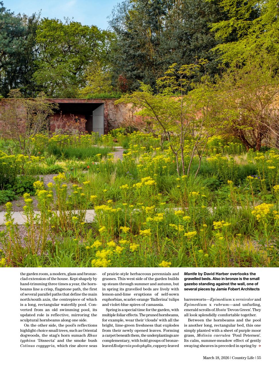 Country Life Preview Pages