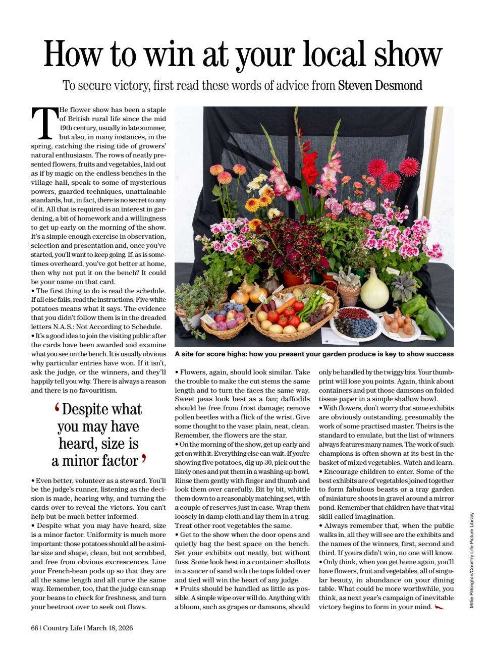 Country Life Preview Pages