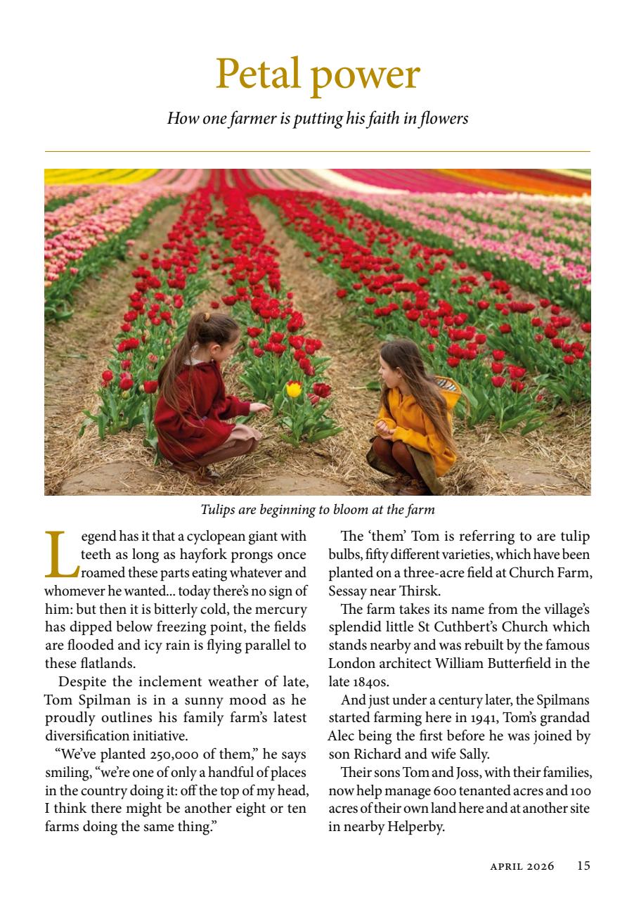 The Yorkshire Dalesman Preview Pages