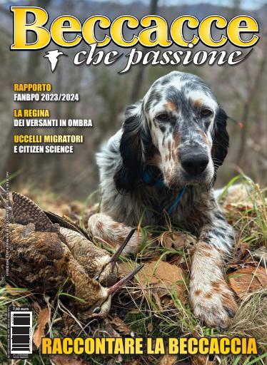 BECCACCE CHE PASSIONE issue 