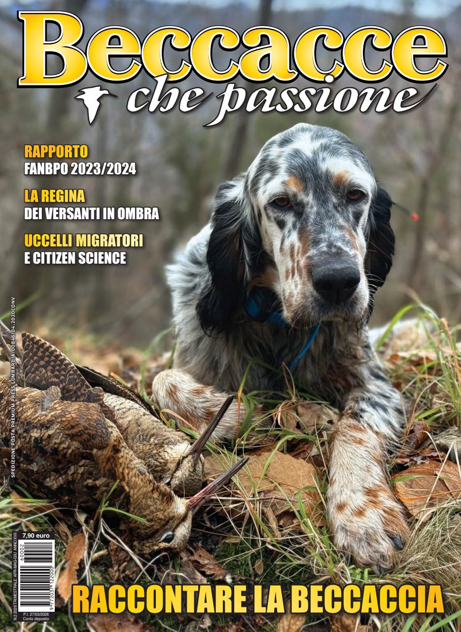 BECCACCE CHE PASSIONE Preview Pages