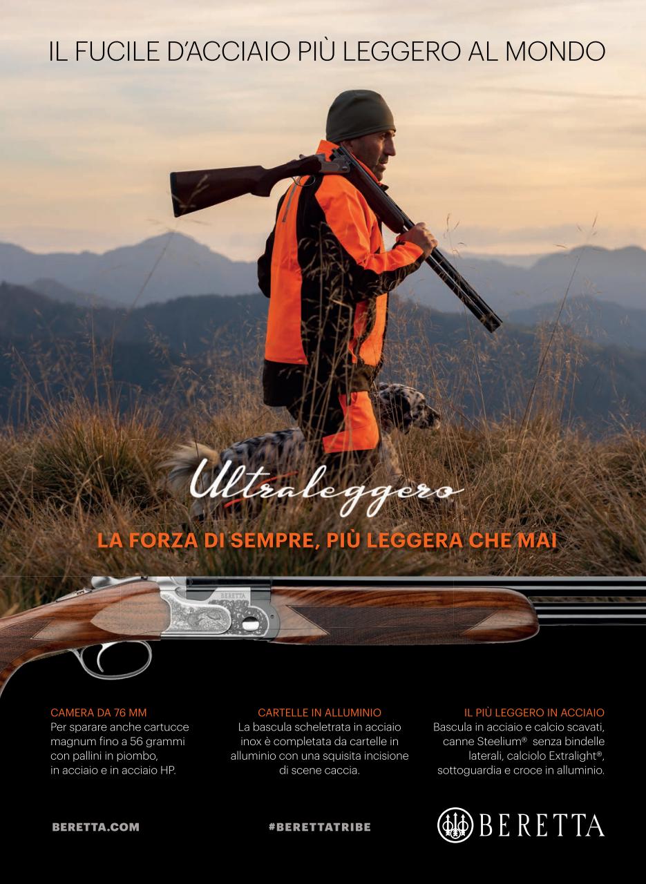 BECCACCE CHE PASSIONE Preview Pages