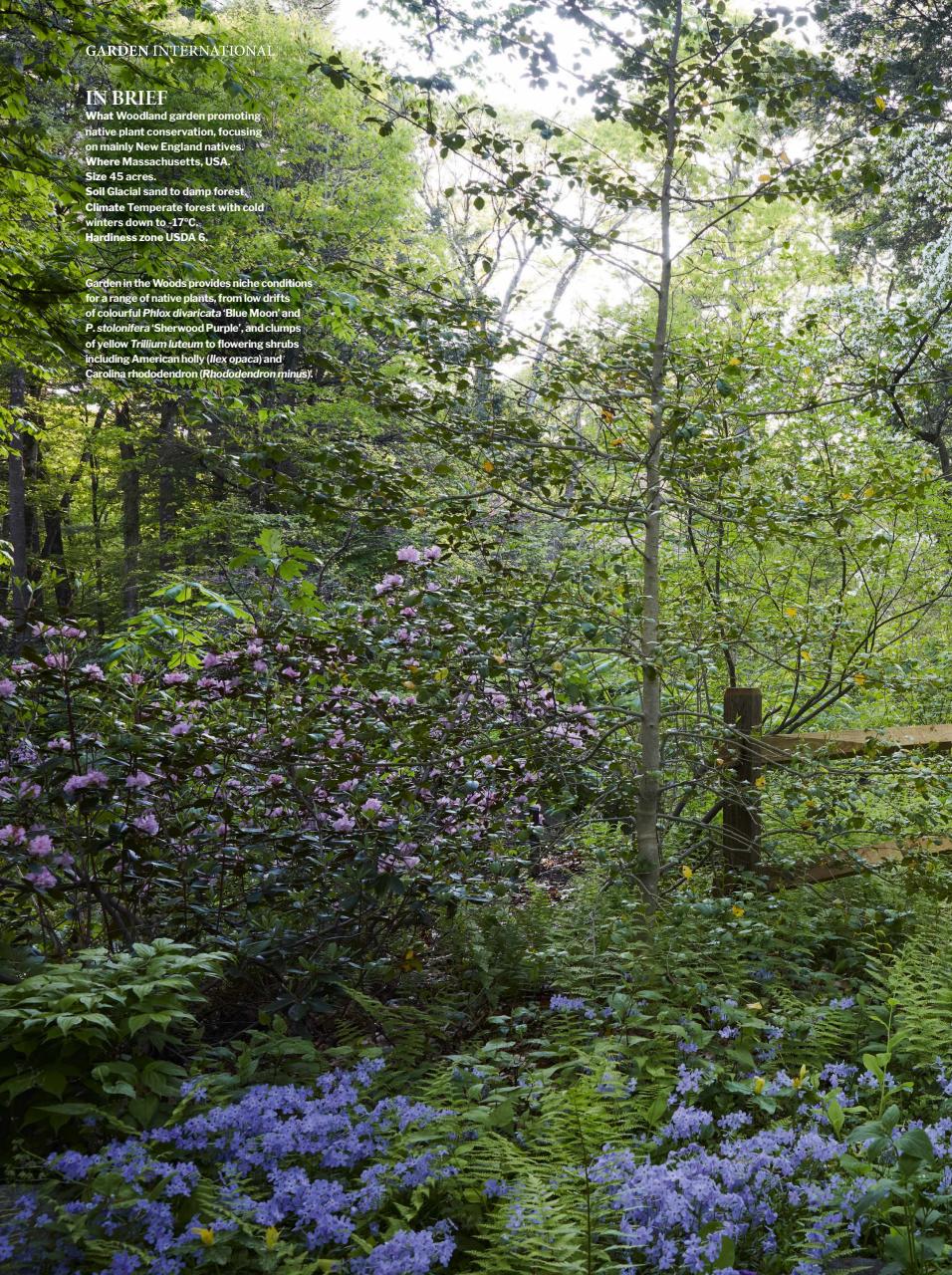 Gardens Illustrated Preview Pages