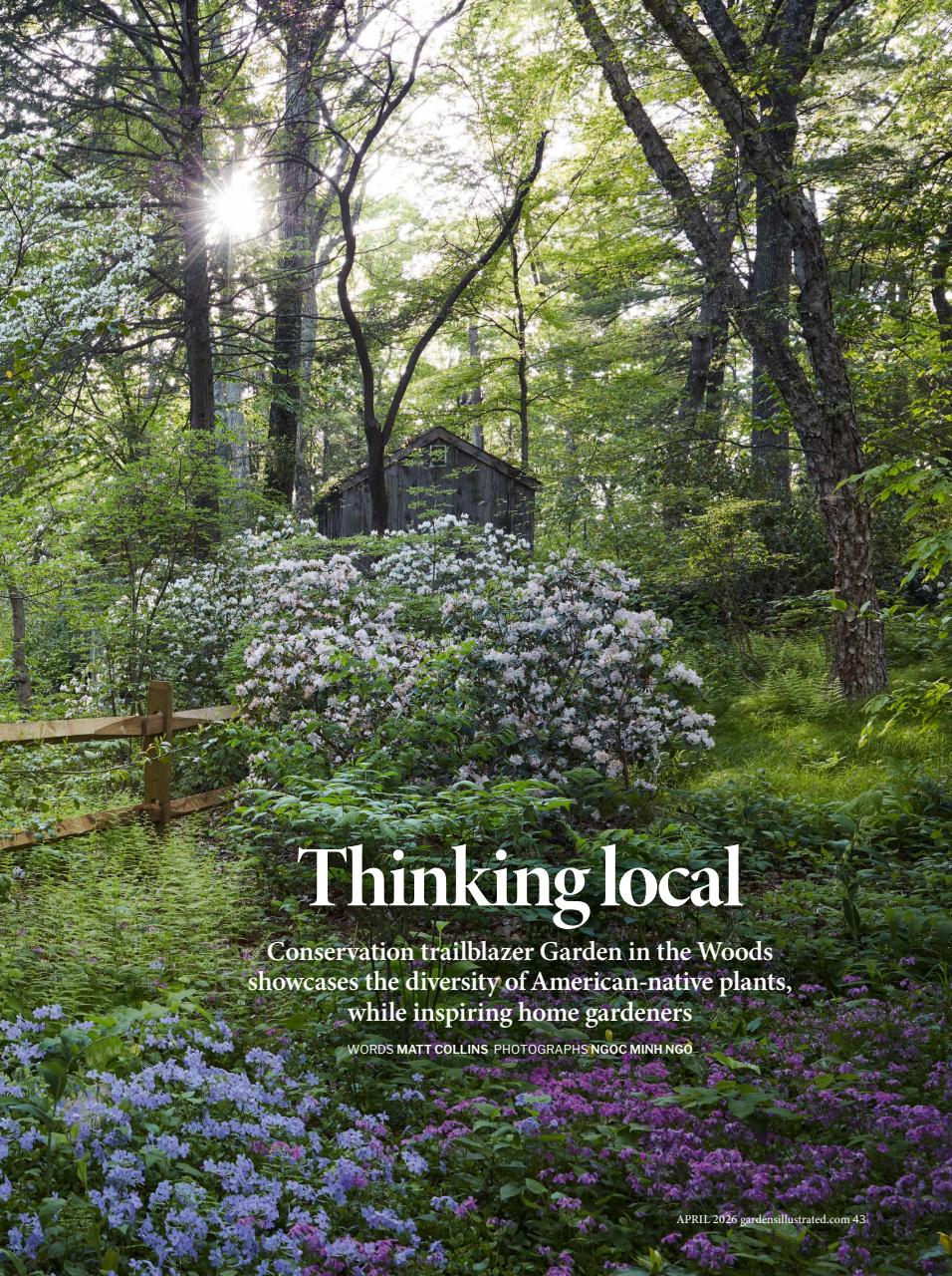 Gardens Illustrated Preview Pages