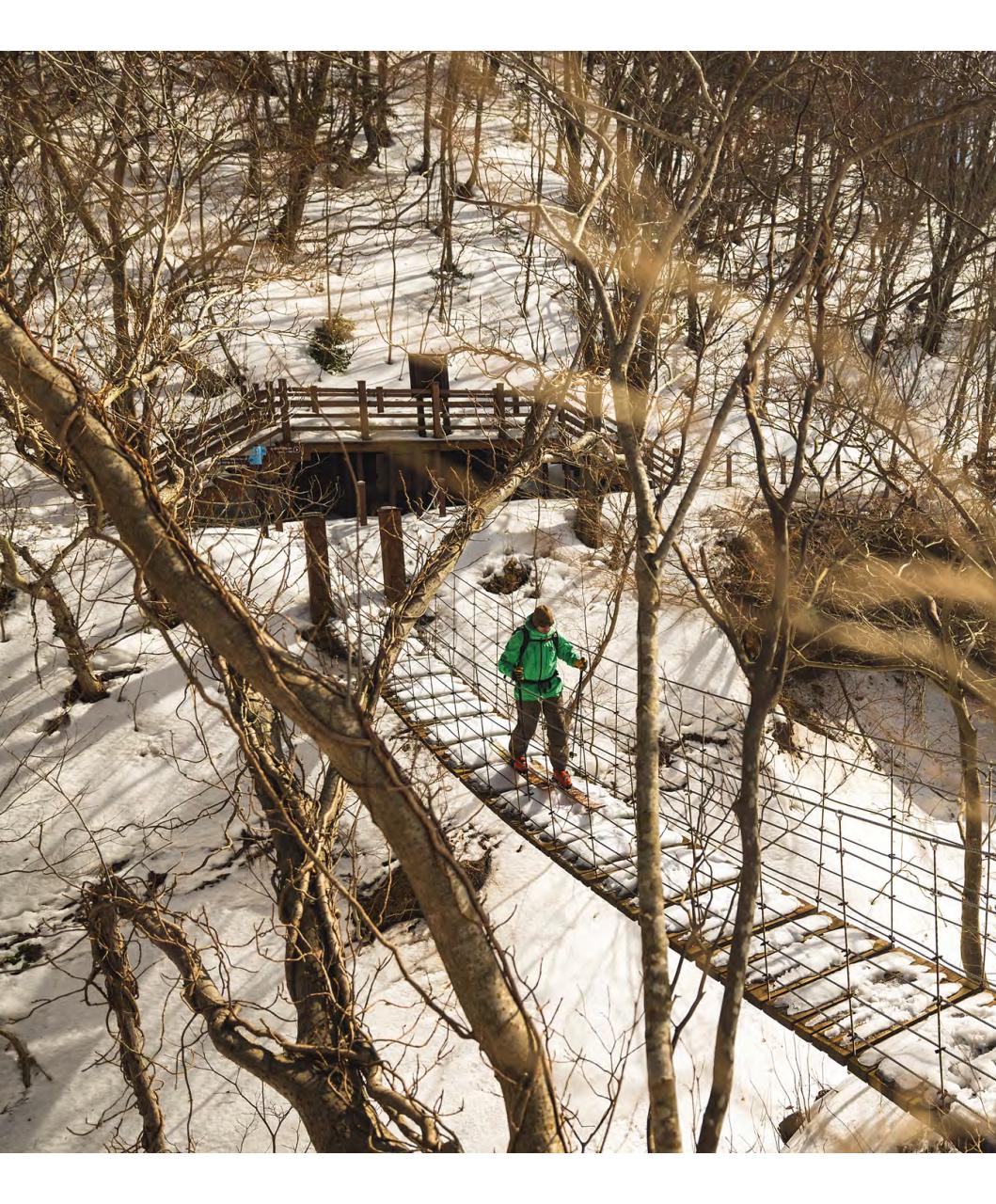 Backcountry Preview Pages