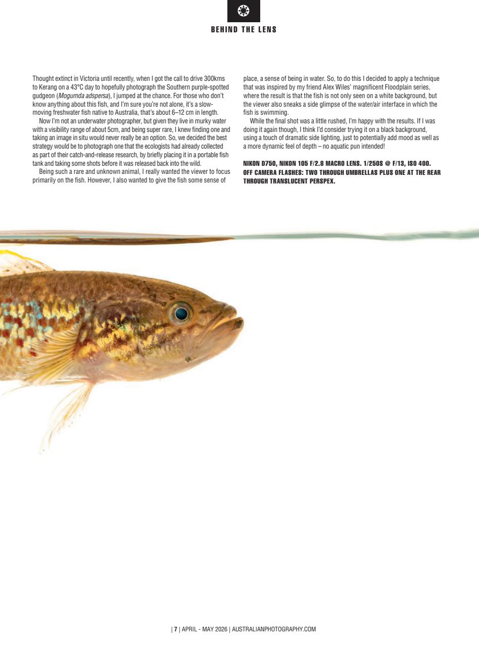 Australian Photography Preview Pages