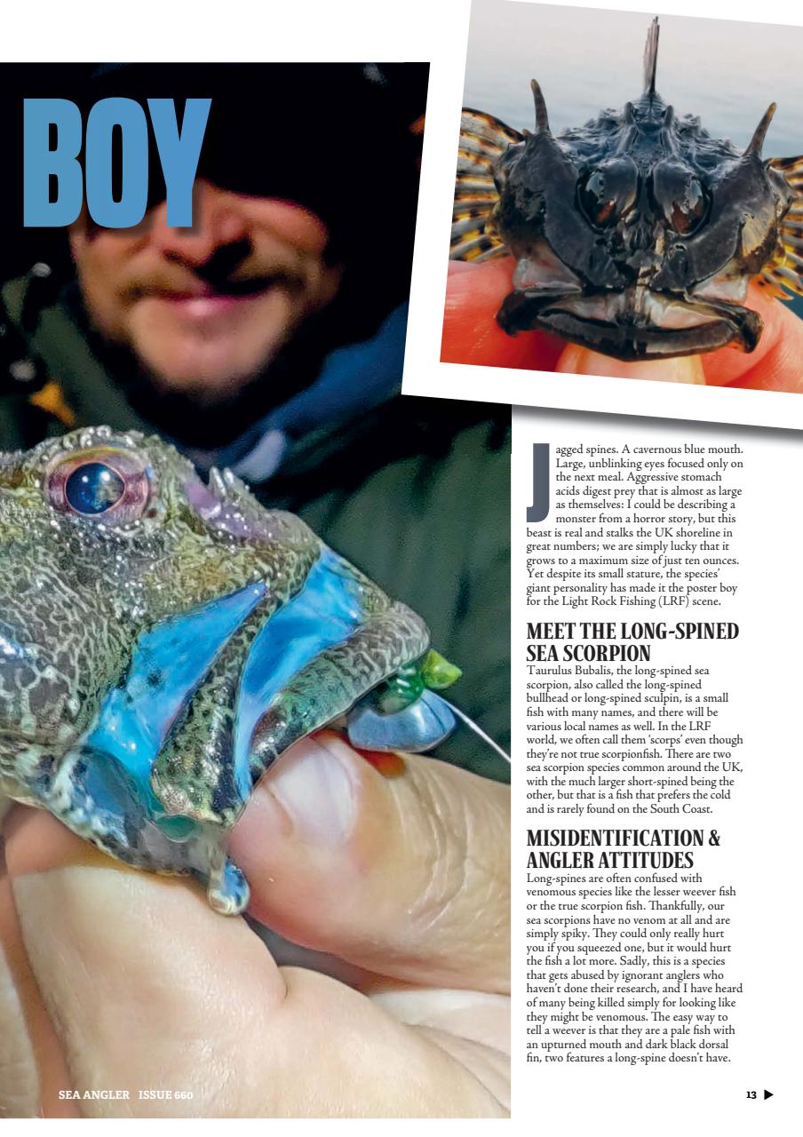 Sea Angler Preview Pages