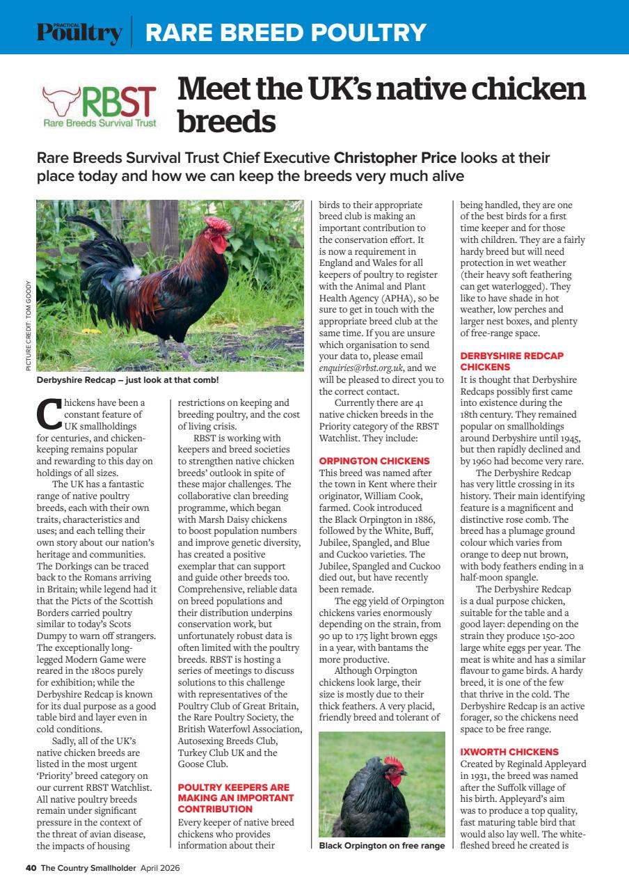 The Country Smallholder Preview Pages