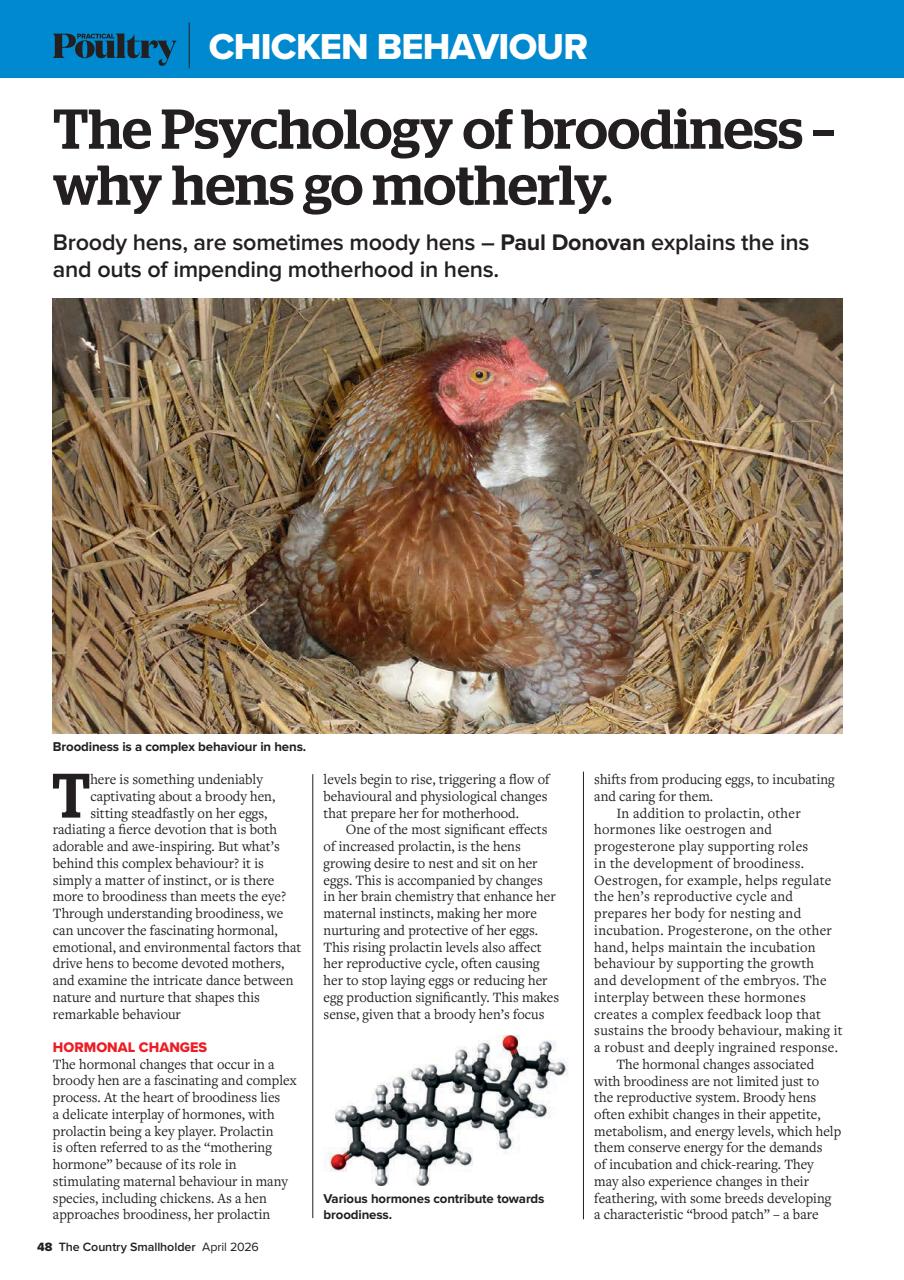 The Country Smallholder Preview Pages
