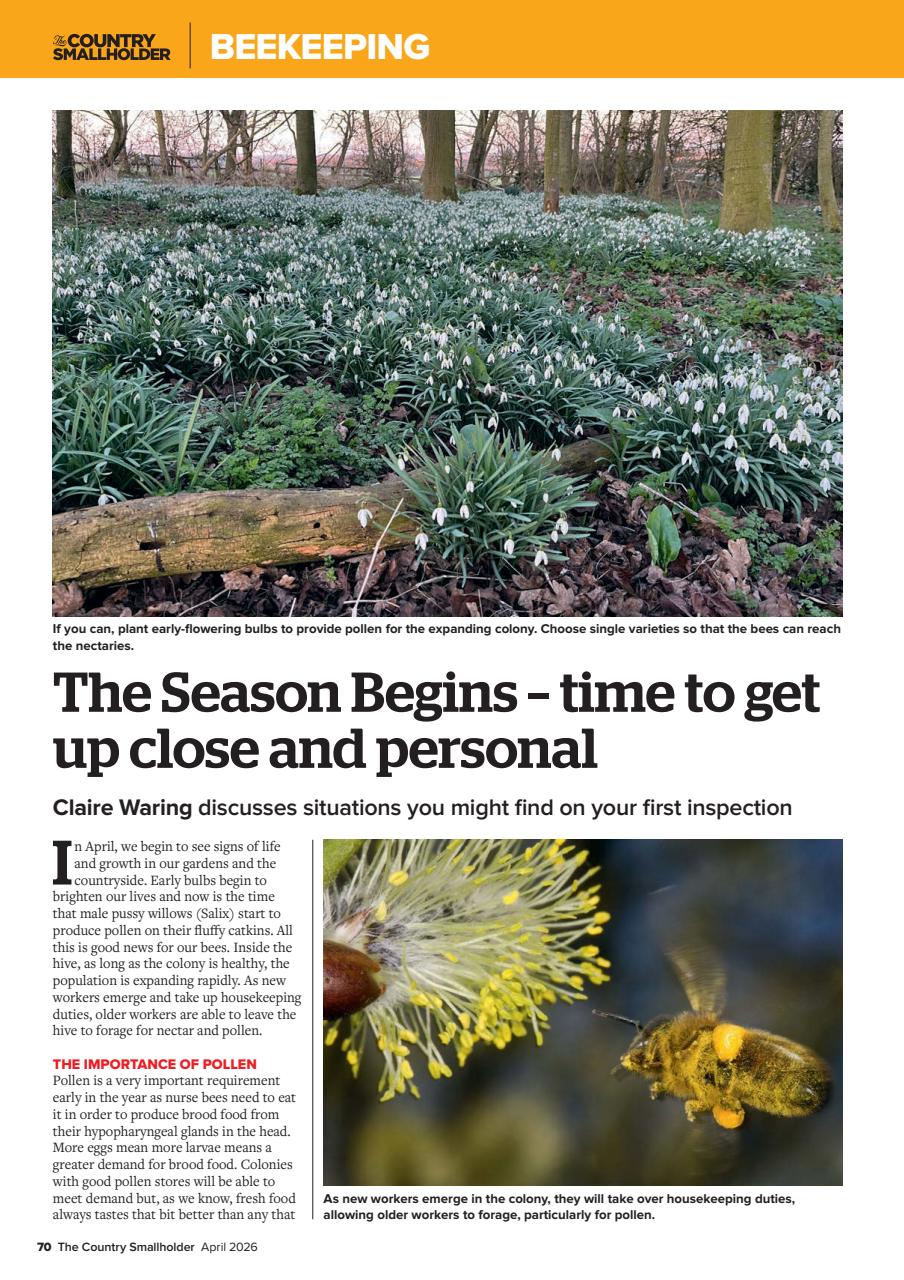 The Country Smallholder Preview Pages