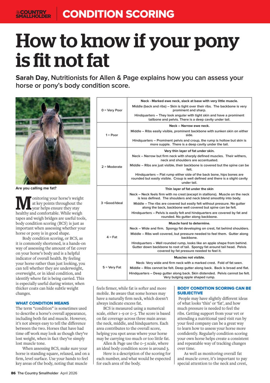 The Country Smallholder Preview Pages