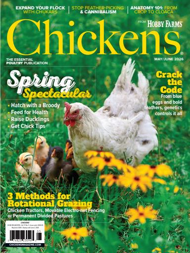 Chickens Magazine issue 