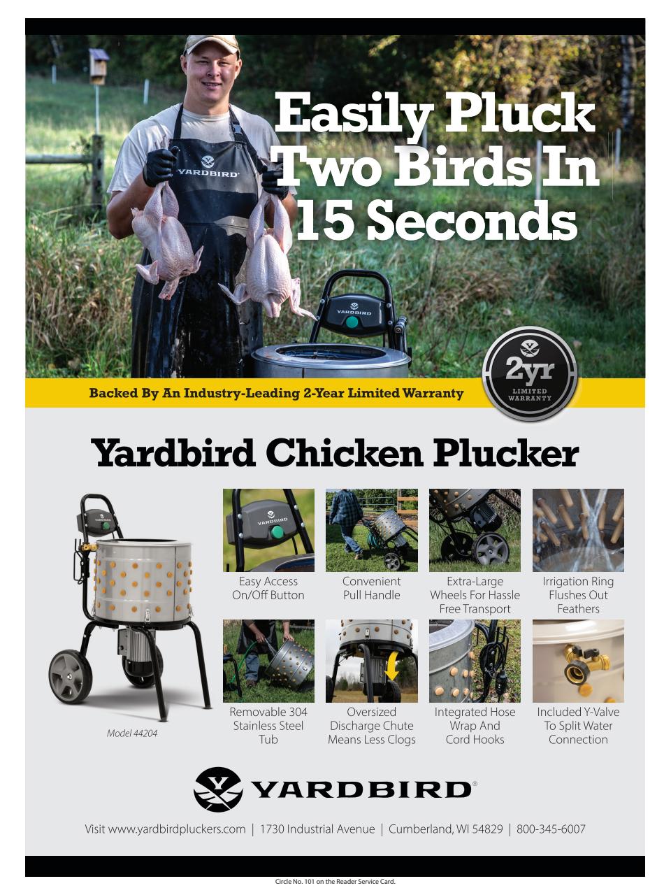 Chickens Magazine Preview Pages