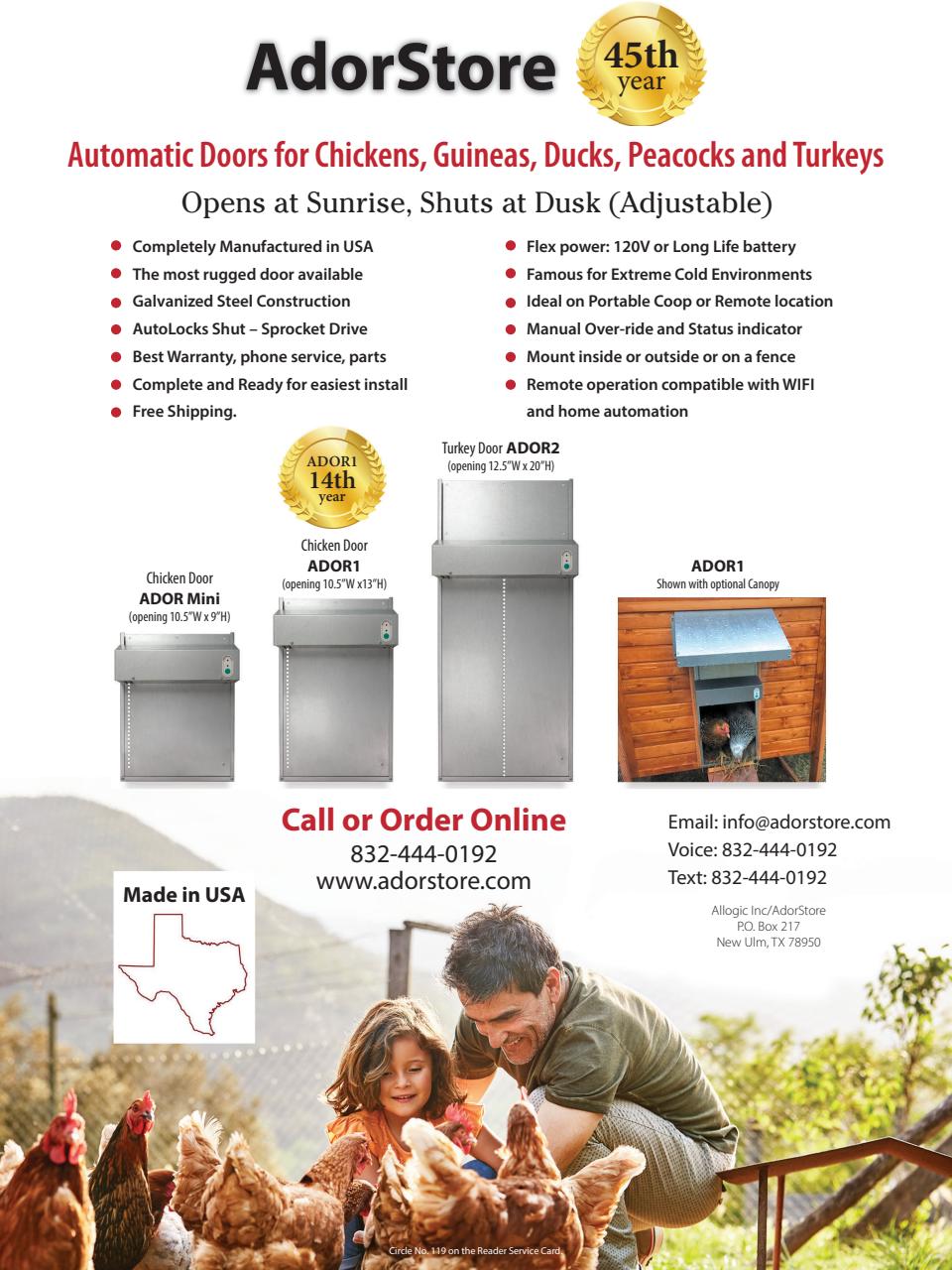 Chickens Magazine Preview Pages