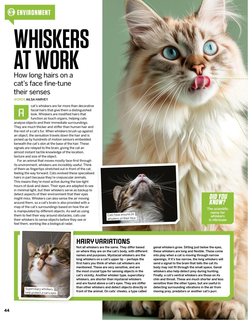 How It Works Preview Pages