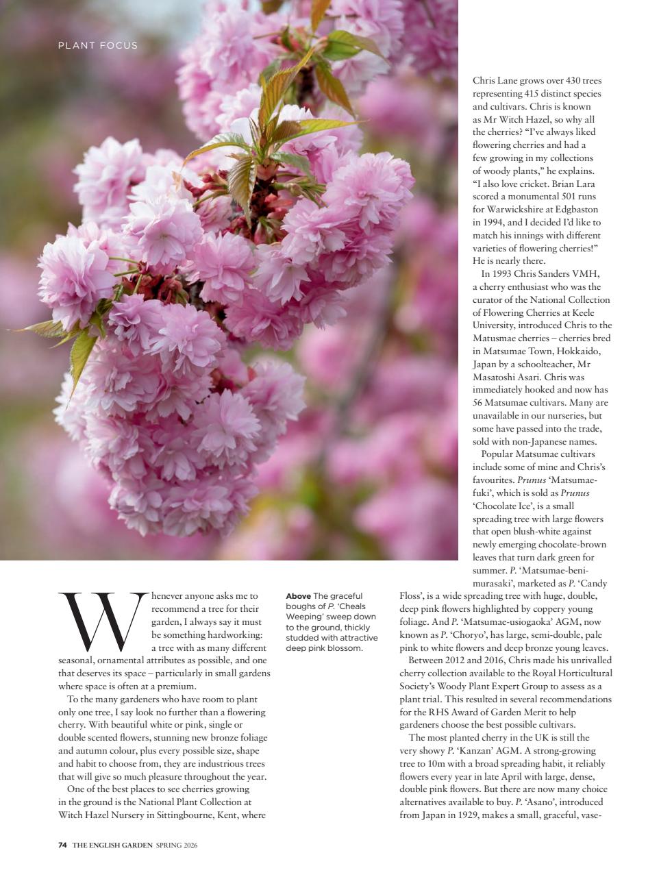 The English Garden Preview Pages