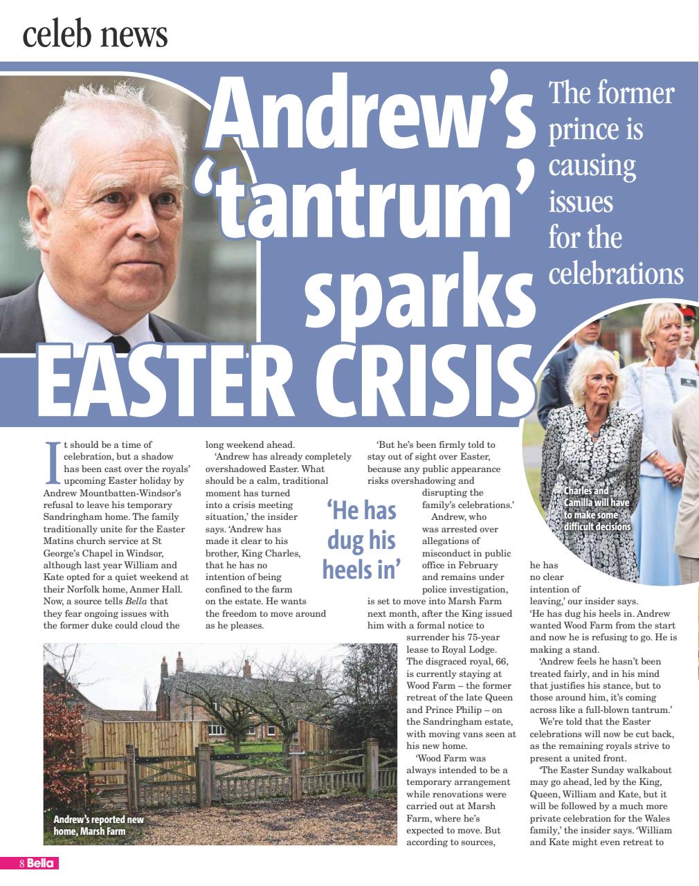 Bella Magazine Preview Pages