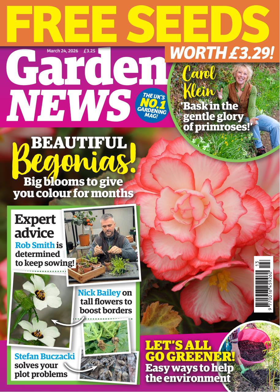 Garden News Preview Pages