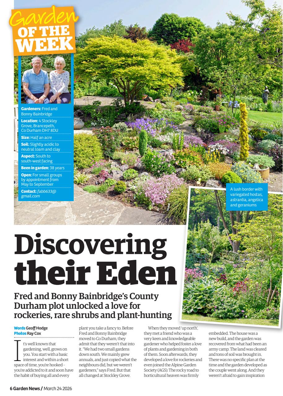Garden News Preview Pages