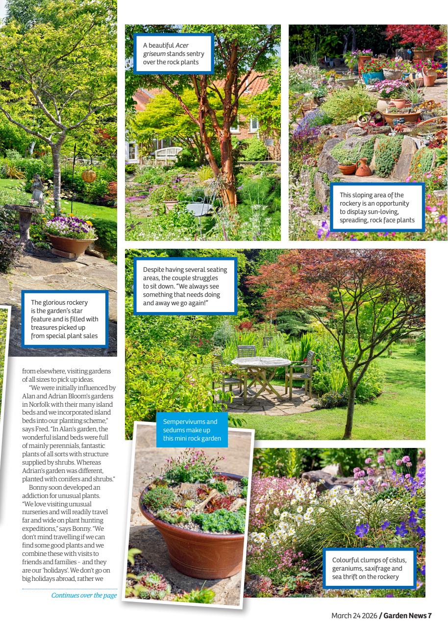 Garden News Preview Pages