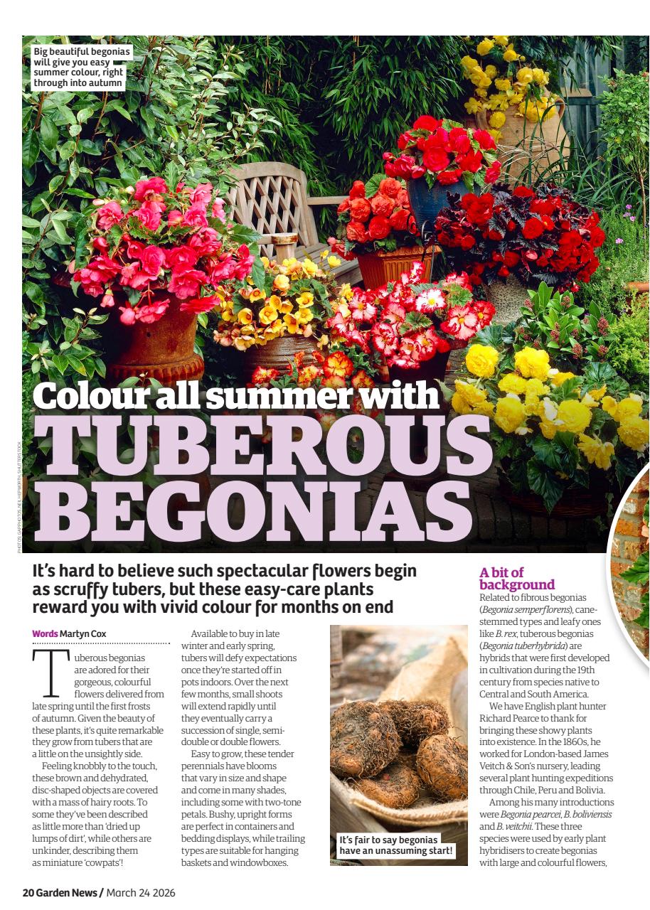Garden News Preview Pages