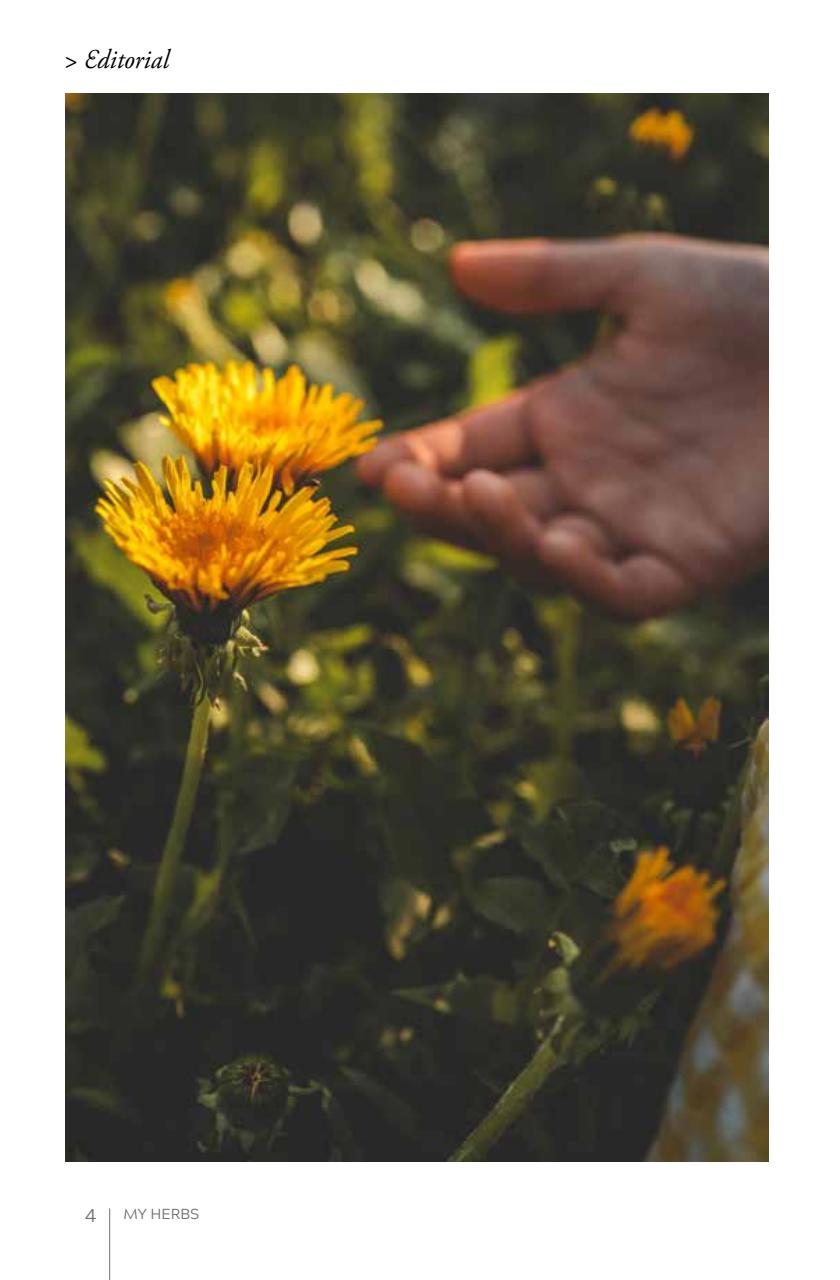 My Herbs Magazine Preview Pages