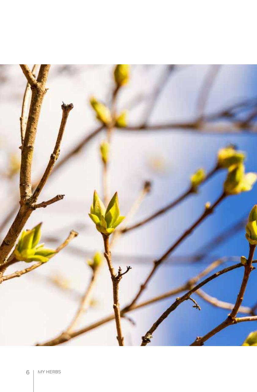 My Herbs Magazine Preview Pages