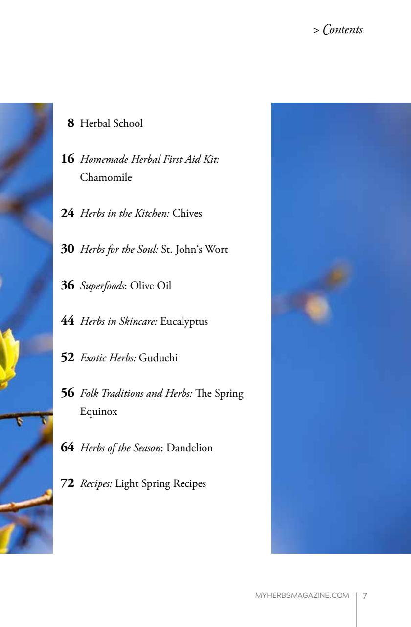 My Herbs Magazine Preview Pages