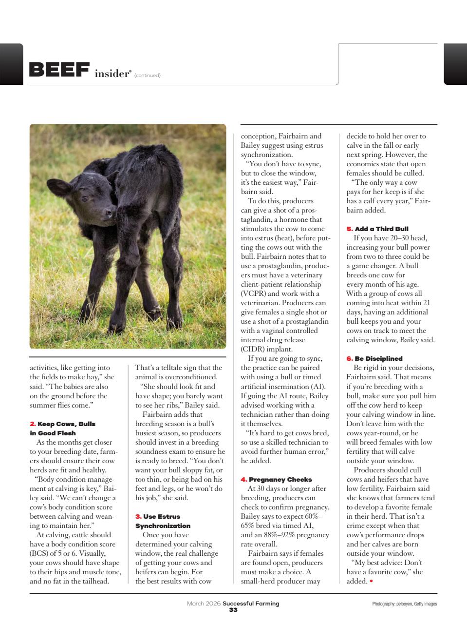 Successful Farming Preview Pages