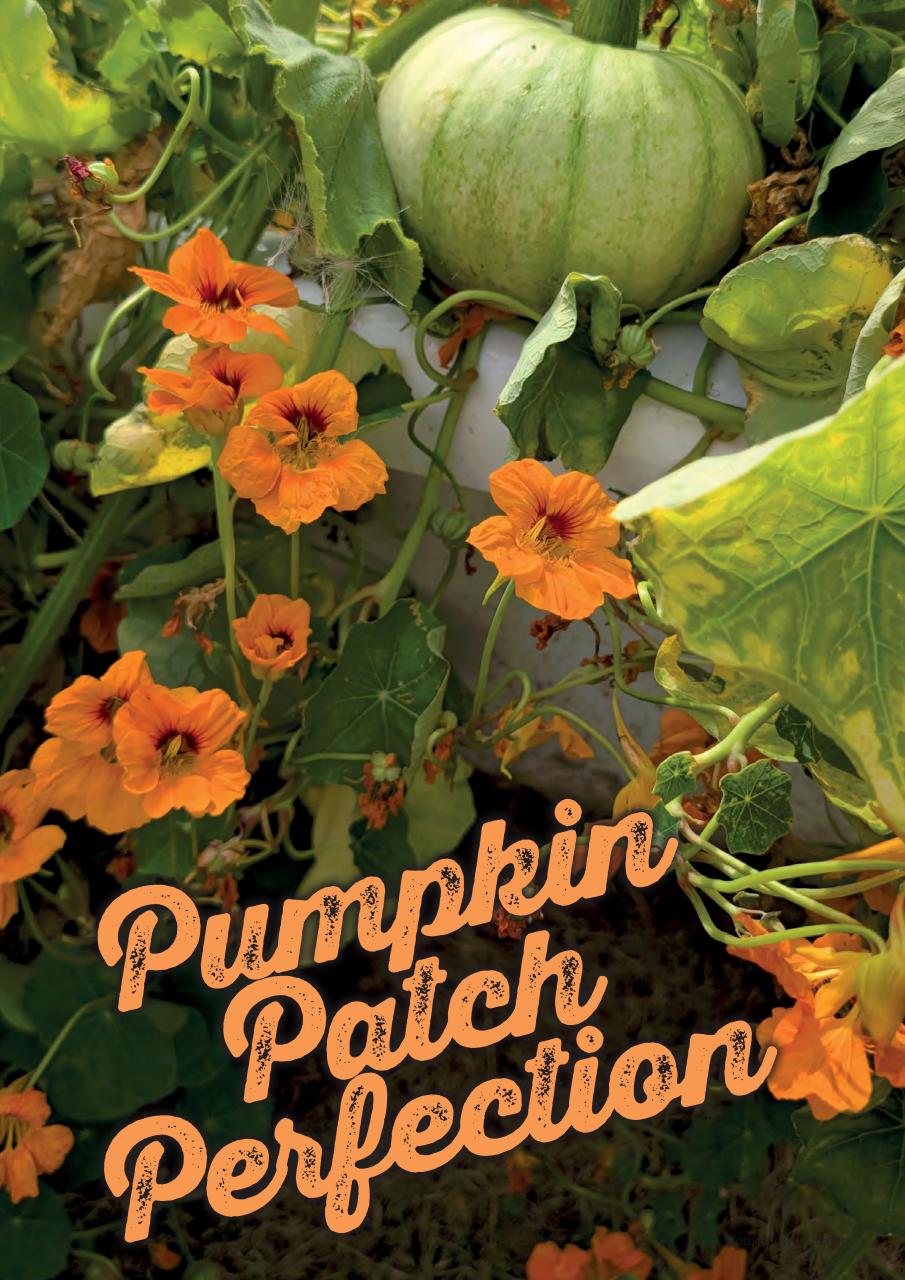 Homegrown Kitchen Preview Pages