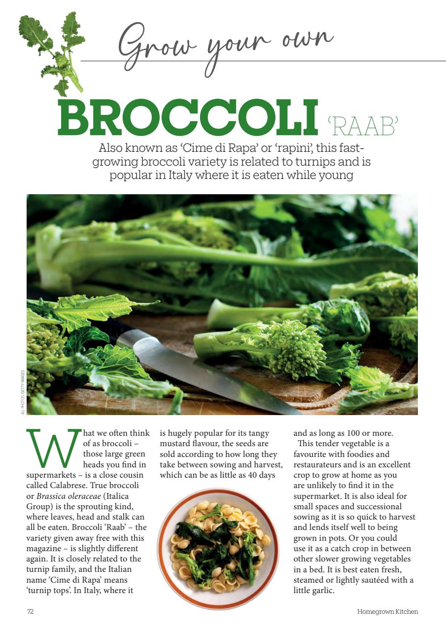 Homegrown Kitchen Preview Pages