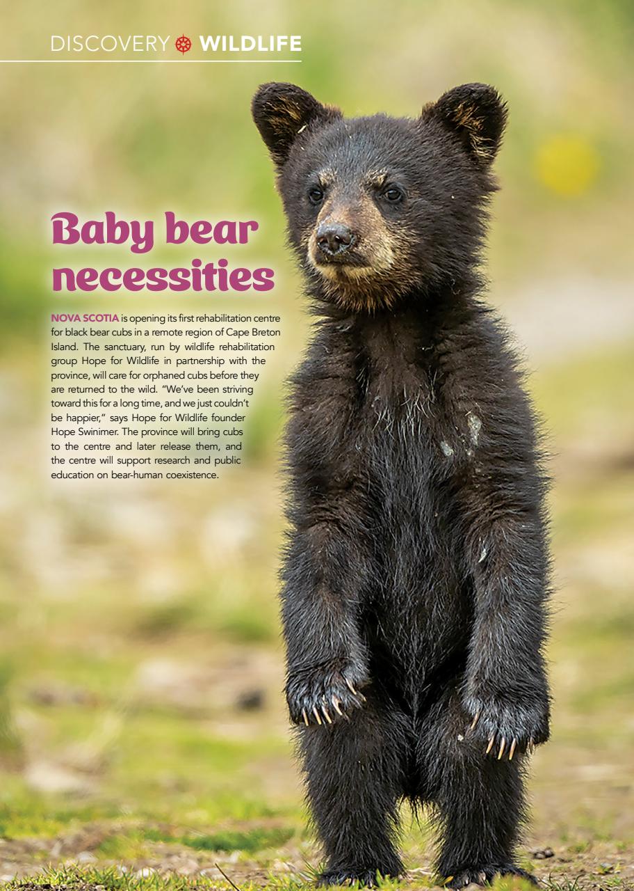 Canadian Geographic Preview Pages