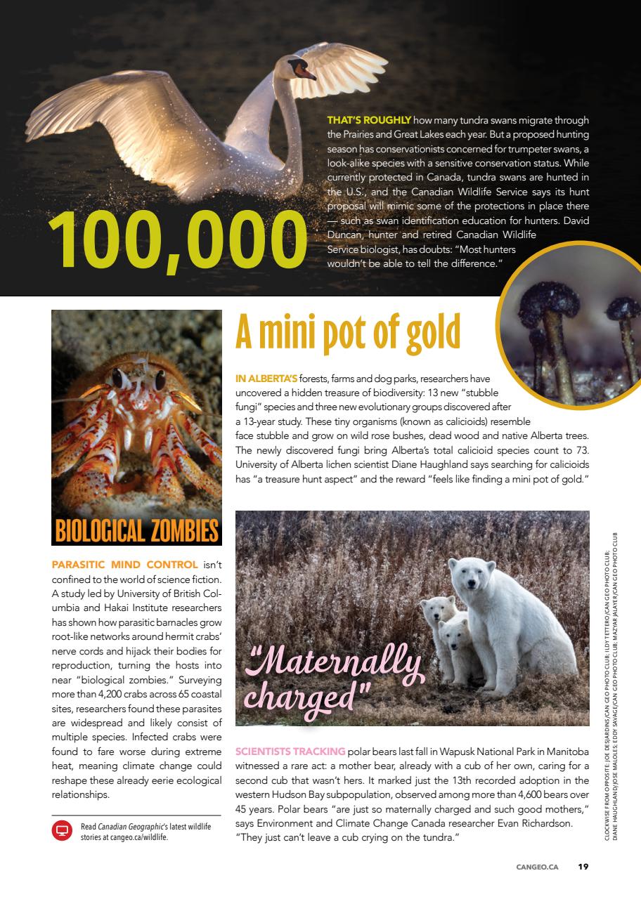Canadian Geographic Preview Pages