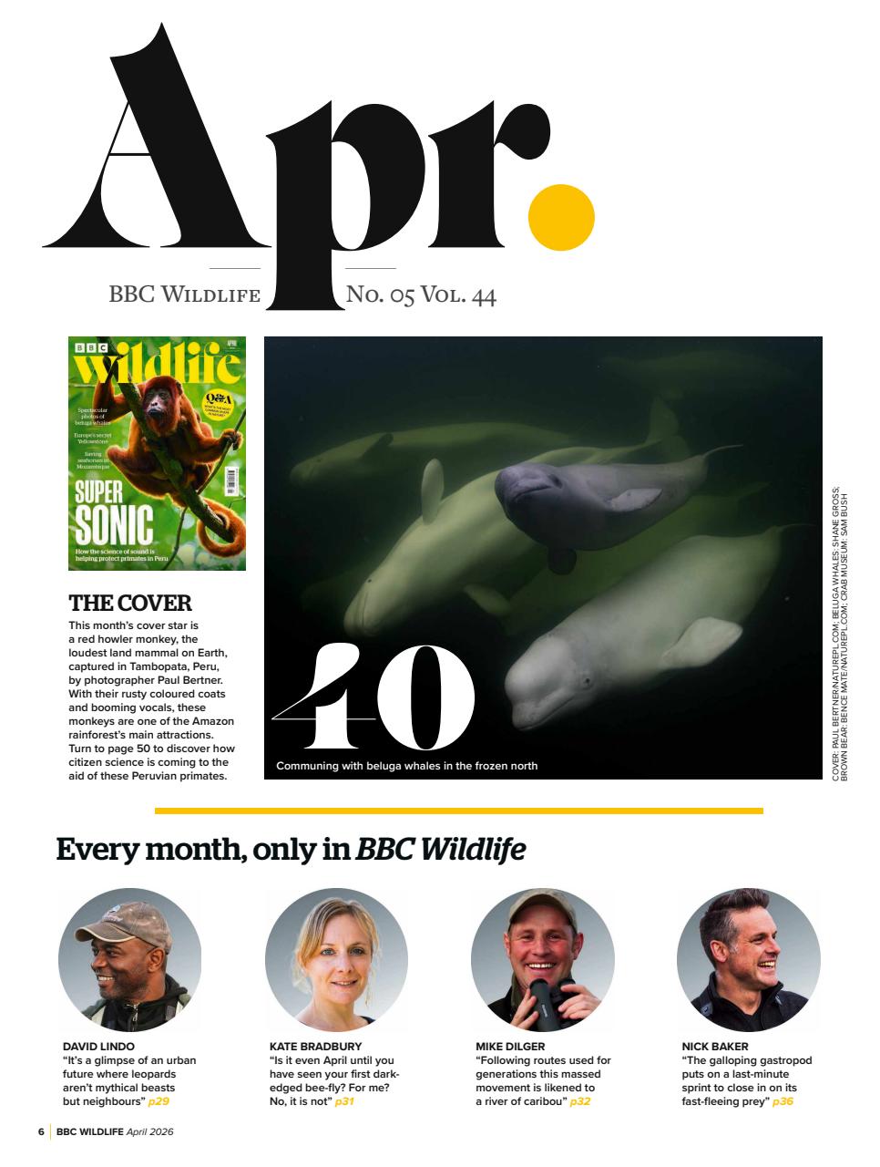 BBC Wildlife Magazine Preview Pages