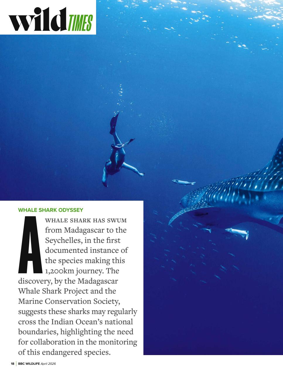 BBC Wildlife Magazine Preview Pages