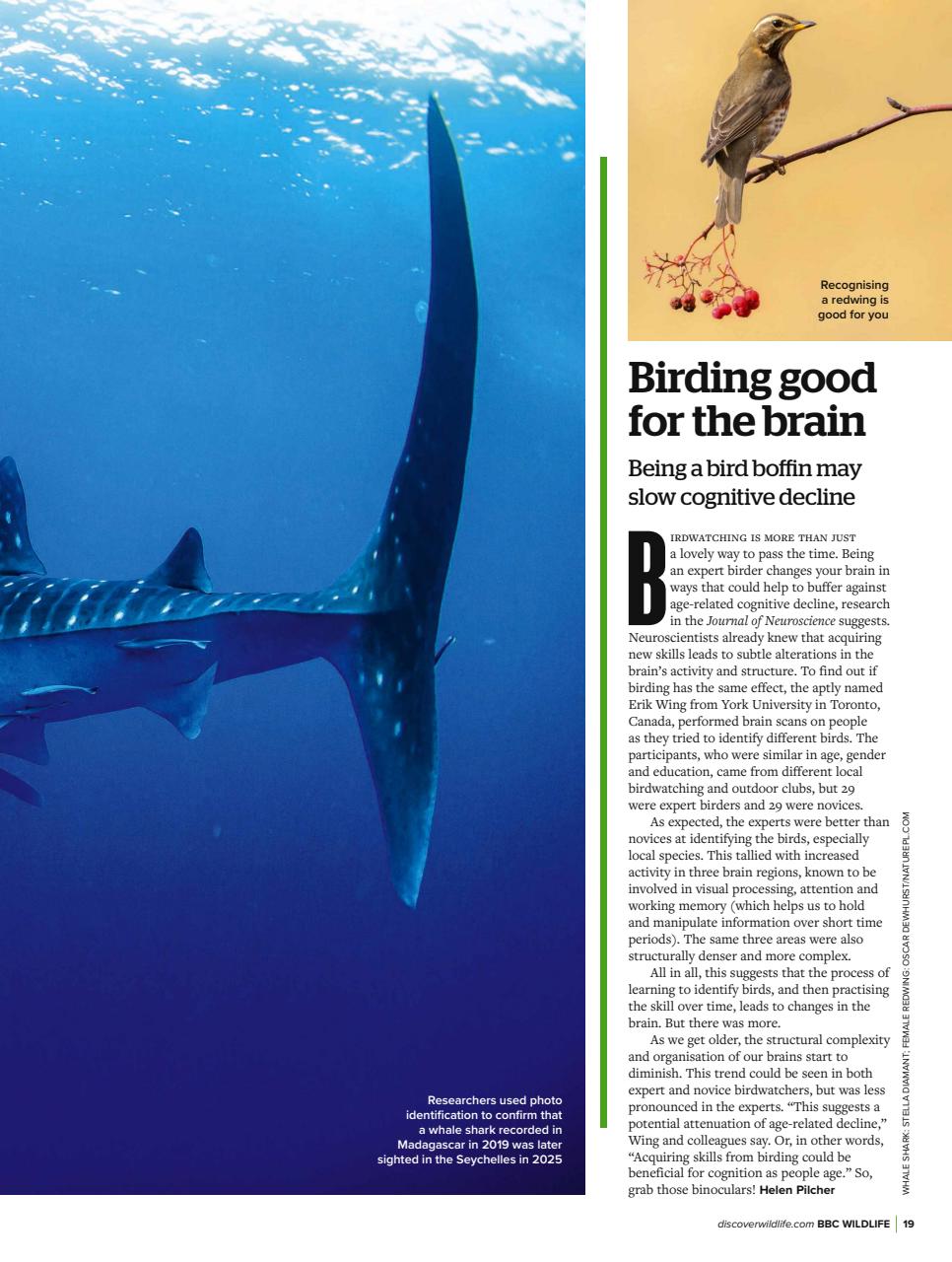 BBC Wildlife Magazine Preview Pages