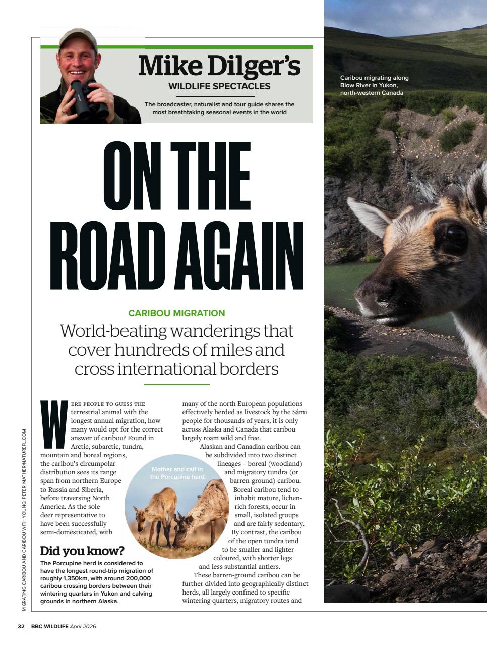 BBC Wildlife Magazine Preview Pages