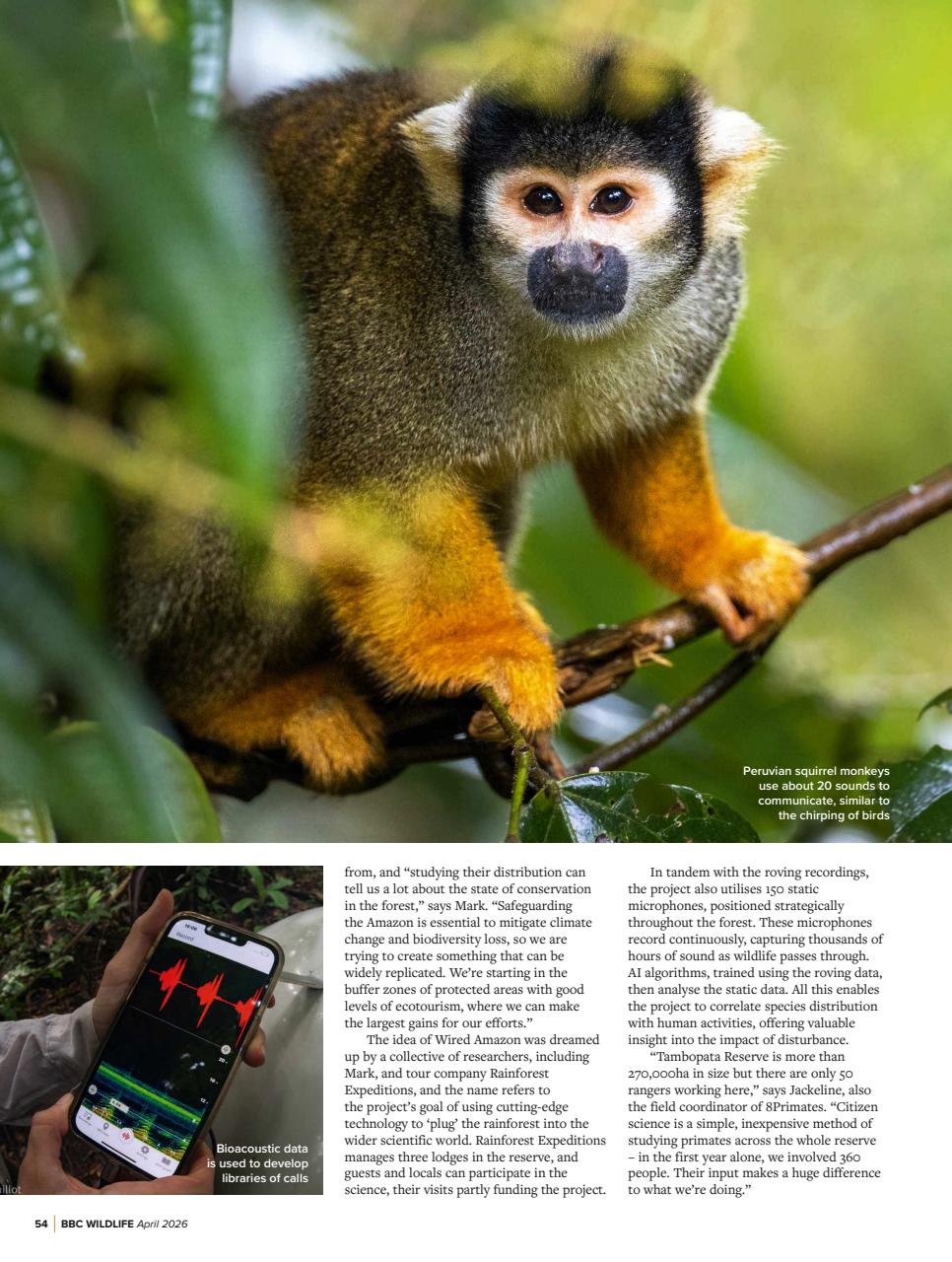 BBC Wildlife Magazine Preview Pages