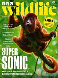 BBC Wildlife Magazine Complete Your Collection Cover 1