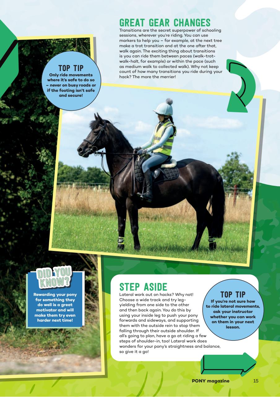 Pony Magazine Preview Pages