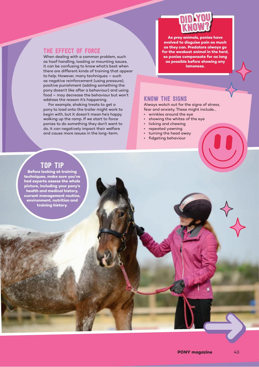 Pony Magazine Preview Pages