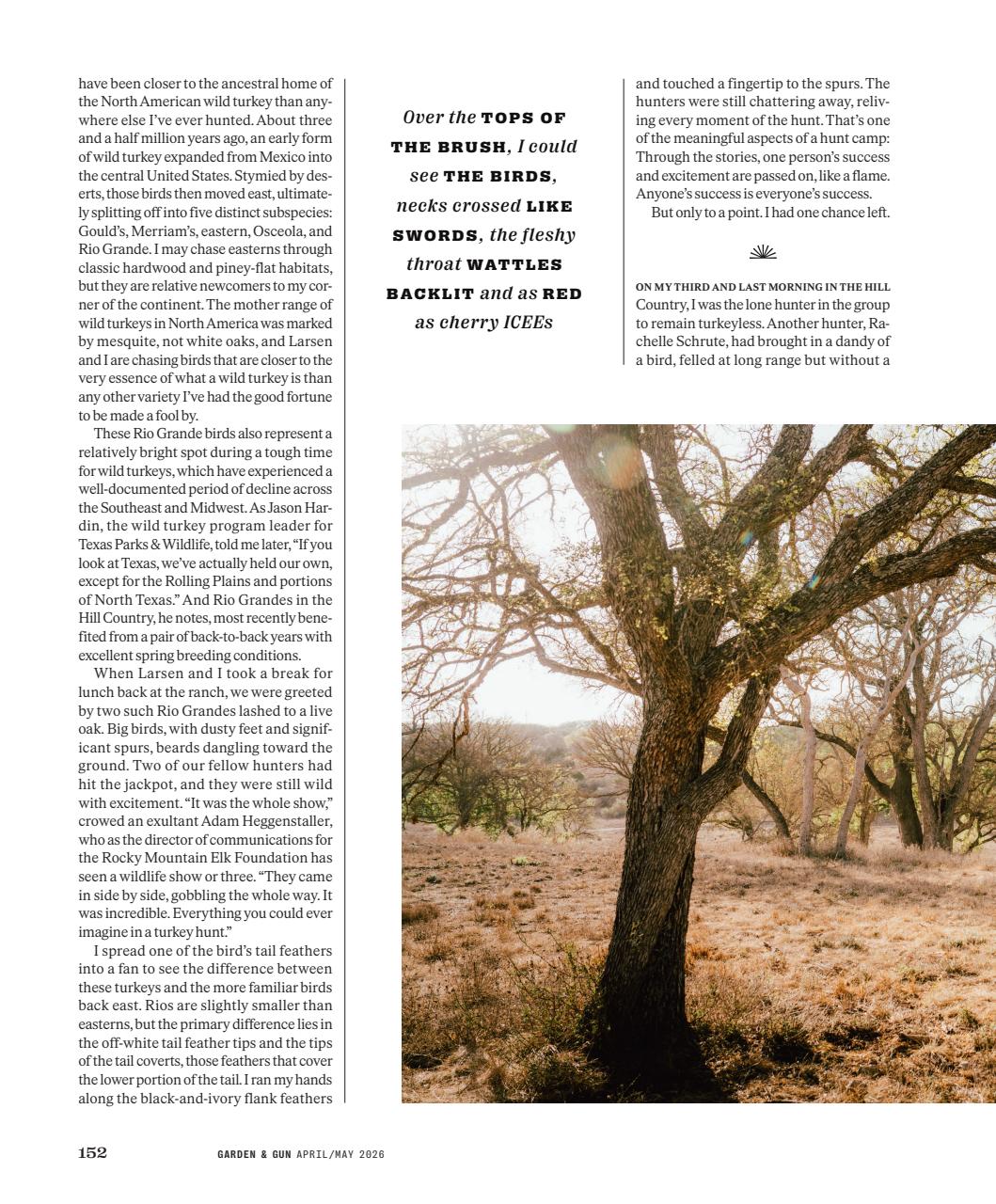 Garden and Gun Magazine Preview Pages