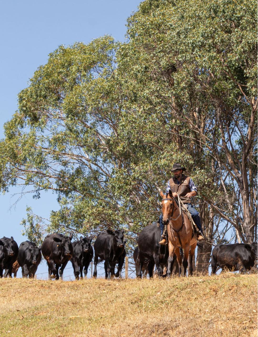 OUTBACK Magazine Preview Pages